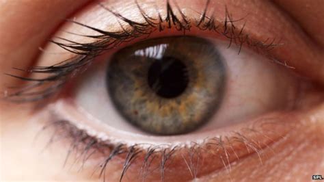 Stem Cell Trial Aims To Cure Blindness Bbc News