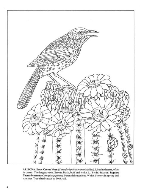 state birds  flowers coloring book bird coloring pages state