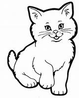 Mewarnai Kucing Lucu Anggora sketch template
