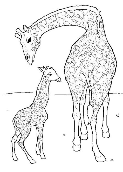 coloring page giraffe animals coloring pages