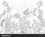 Sea Coloring Bed Designlooter Stress Seabed Anti Fish Animals Illustration Vector 95kb 1500 sketch template