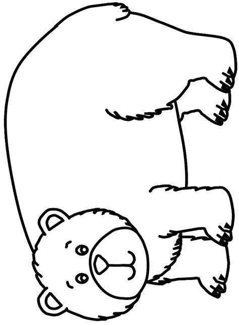 close  template window   printing bear coloring pages