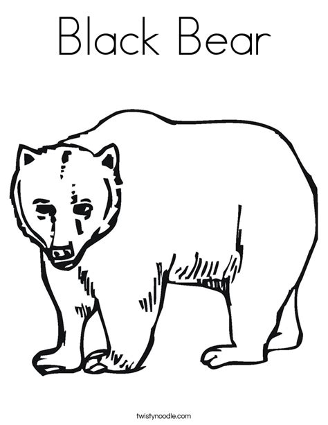 american black bear coloring page   american black