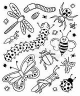 Coloring Insects Doodles Insect Dover sketch template