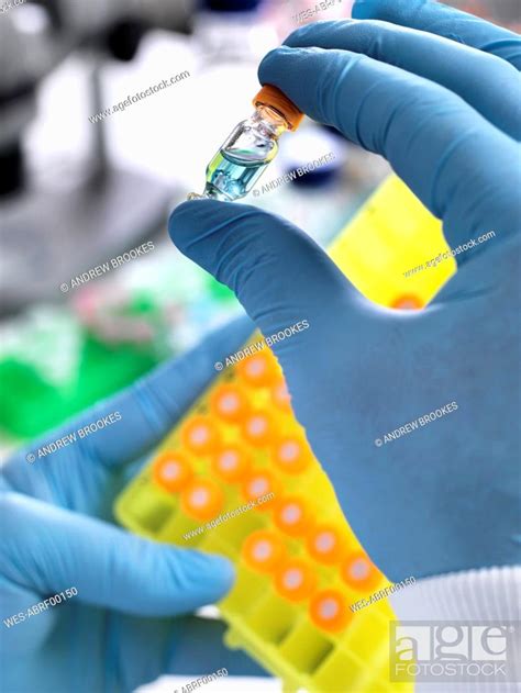 research experiment scientist preparing sample  vials  analysis