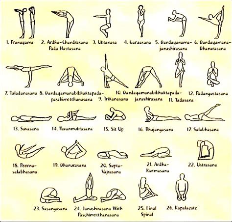 hatha yoga beginner poses work  picture media work  picture media