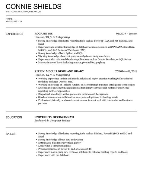 bi and reporting resume samples velvet jobs