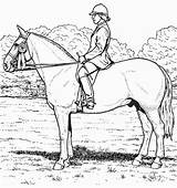 Cheval Cavalier 2211 Coloriages sketch template