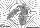 Aboriginal Indigenous Brewer Owls sketch template