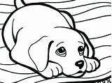 Coloring Pages Rottweiler Para Dog Drawing Bloodhound Printable Color Getdrawings Print Beagle Pintar Colorir Imprimir Ask Kids Sheets Paper Da sketch template