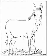 Donkey Shrek Pitara Mule Enlarged Getdrawings sketch template
