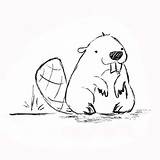 Beaver Character Cute Drawings Drawing Tail Cartoon Draw Choose Board Animal sketch template