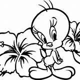 Coloring Tweety Bird Pages Baby Print Girls Printable Sylvester Tunes Looney Kids Colouring Color Sheets Cute Flower Gangsta Easter Trending sketch template