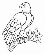 Birds Coloring Pages Kids Print Children Printable Animals sketch template