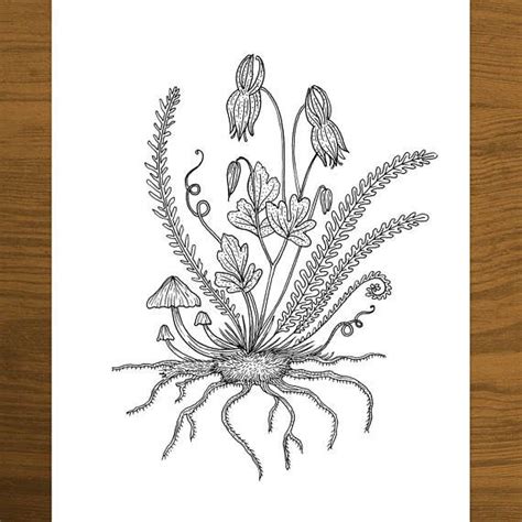 wildflowers coloring page coloring pages printable coloring pages