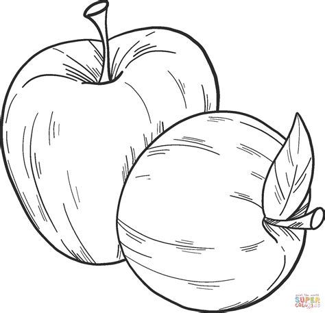 apples coloring page  printable coloring pages