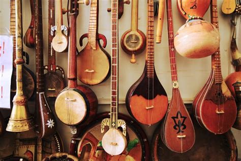 kinds  stringed instruments