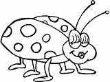 Bug Coloring Stink Template sketch template