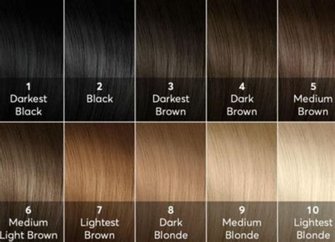 hair color level chart images  pinterest hair color hair coloring  charts