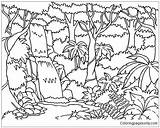 Coloring Forest Pages Habitat Enchanted Rainforest Kids Print Printable Drawing Getcolorings Trees Book Getdrawings Rain sketch template