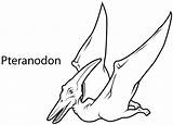 Pterodactyl Pteranodon Dinosaurs Sketch Getdrawings sketch template