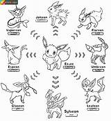 Eevee Coloring Pages Pokemon Evolutions Pikachu Printable Print Turn Color Eeve Into Book sketch template