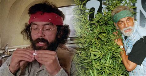 cannabis celebrity profile tommy chong
