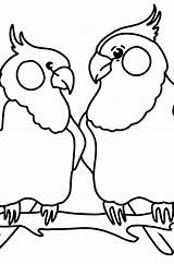 Lovebird Parrots sketch template