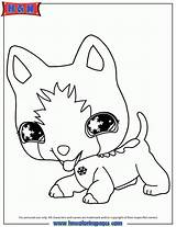 Coloring Pages Pet Shop Pets Littlest Preschoolers Lps Little Kids Dog Colouring Books Print Super Library Comments sketch template