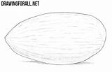 Almond Draw Drawing sketch template