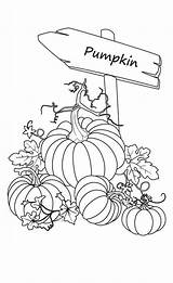Coloring Pages Pumpkins Pumpkin Fall Garden Sign Halloween Kids Printable Patch Color Adult Autumn Snowman Sketch Drawing Drawings Play Pagefull sketch template