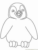 Penguin Coloring Pages Penguins Printable Tacky Cartoon Christmas Cute Kids Winter Colouring Color Print Clipart Popular Ai Line Coloringhome Animal sketch template
