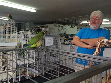 local bird store helps parrots find  happy place  daily courier prescott az