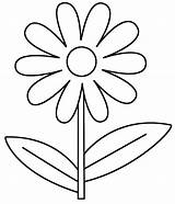 Scout Daisy Scouts sketch template