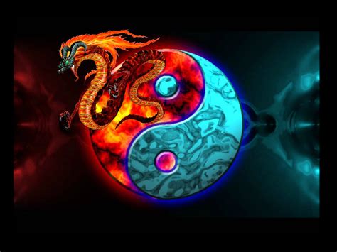 fiery dragon yin  hd wallpaper