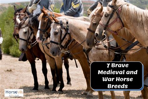 war horse breeds  brave steeds  helped shape history