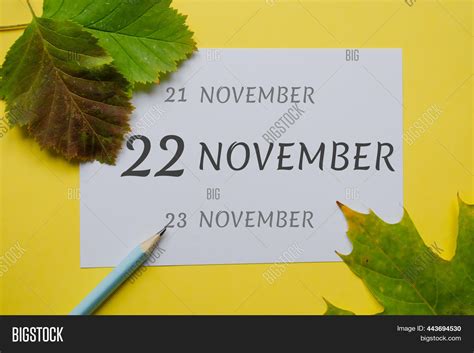 november day month image photo  trial bigstock
