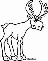 Coloring Pages Elk Getdrawings Moose sketch template
