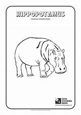 Hippopotamus Coloring Pages Cool Animals Print Hippos sketch template