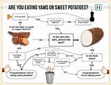 Images of Yam Vs Sweet Potato