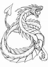 Dragones Wonder sketch template