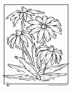 daisy flower coloring page flower coloring pages coloring pages