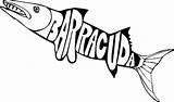 Barracuda Colouring sketch template