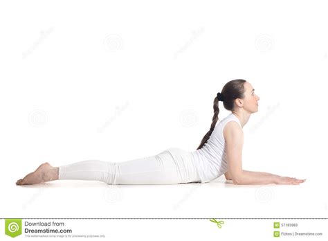 sphinx yoga pose stock image image  asana people