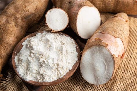 cassava starch offers  thailand tridge