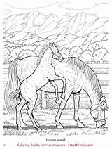Coloring Horses Horse Pages Book Choose Board Wonderful Adult Colouring Hoofprints sketch template