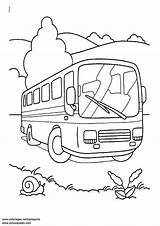 Autobus Omnibus Colorare Ausmalbilder Disegno Touringcar Kolorowanka Reisebus Pulman Coloriage Ausmalbild Besteausmalbilder Autokar Kolorowanki Leukekleurplaten Afbeelding Herunterladen Ausdrucken Schoolplaten Dla sketch template