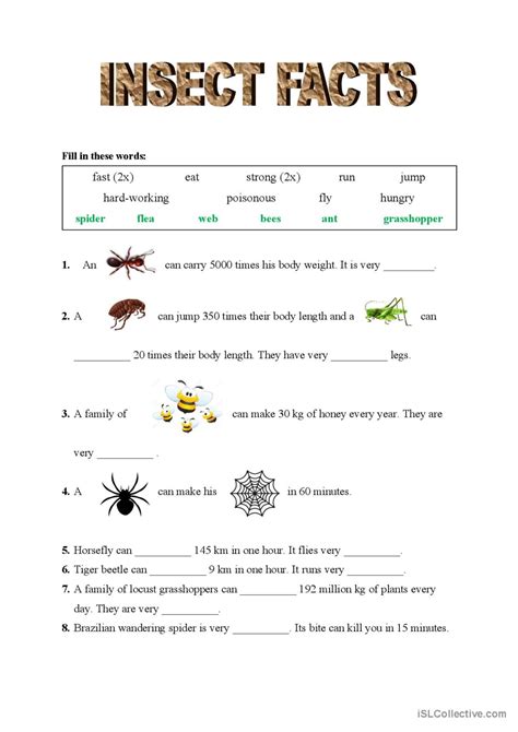 facts  insects general vocabula english esl worksheets