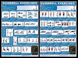 Images of Dumbbell Back Exercises