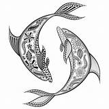 Zentangle Dolphin Dolphins Stylized Isol sketch template